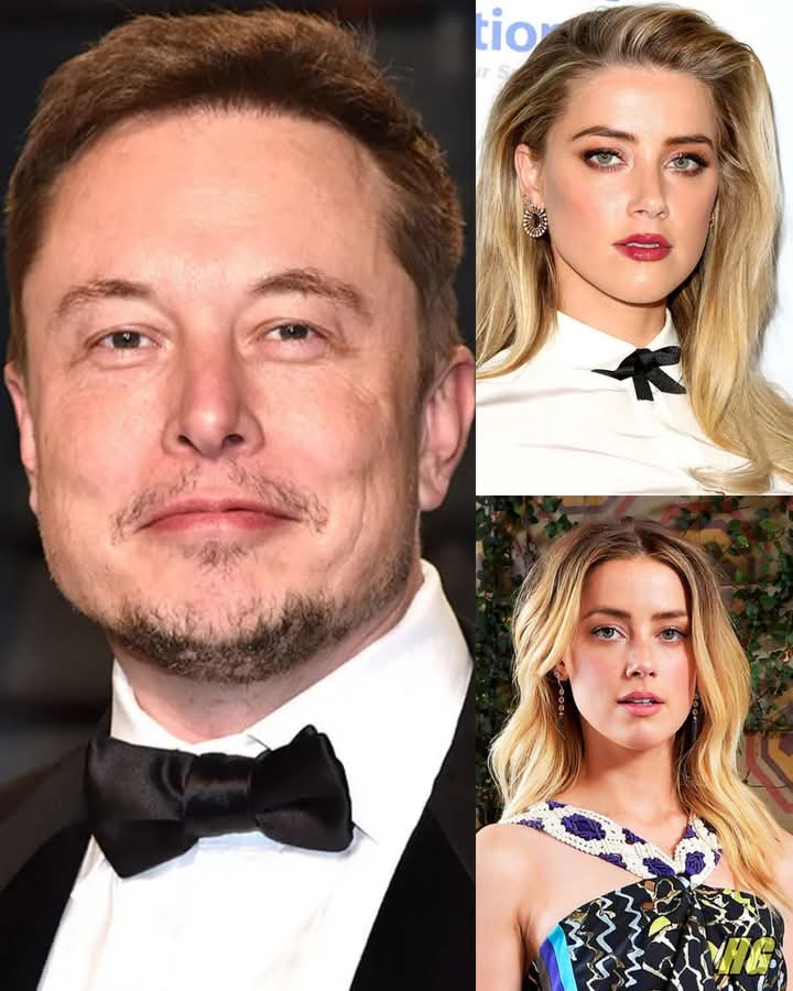 Elon Musk’s Latest Quest Isn’t for Rocket Scientists—It’s for Brilliant Women! Why the World’s Most Powerful Billionaire Is Now Searching for Female Geniuses, and How His Mysterious Mission Could Change Everything We Know About Innovation, Leadership, and the Future of Tech Detail in comments 👇👇